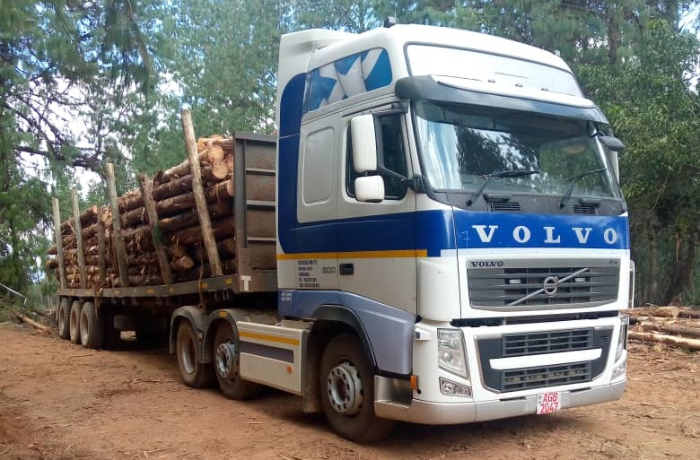 Keshidale Volvo truck transporting logs